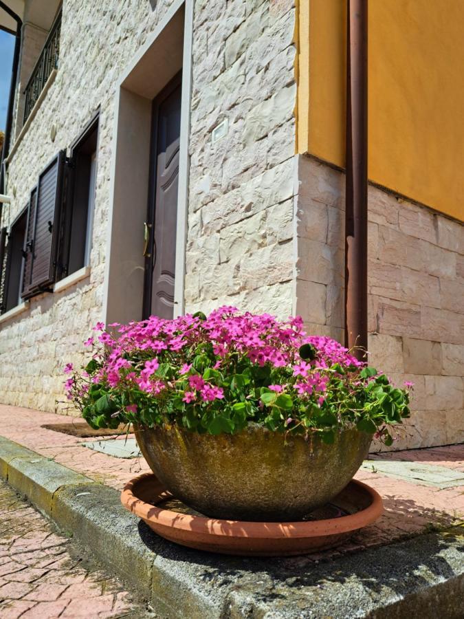 Busso La Casa Di Mezzo-Affitti Brevi-Zona Ospedaliヴィラ エクステリア 写真